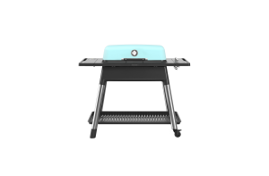 Everdure gasolgrill (Furnace) - matt mint - Exkl. regulator